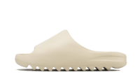 Bone